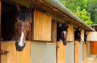 free Cobhall Common stable construction quotes